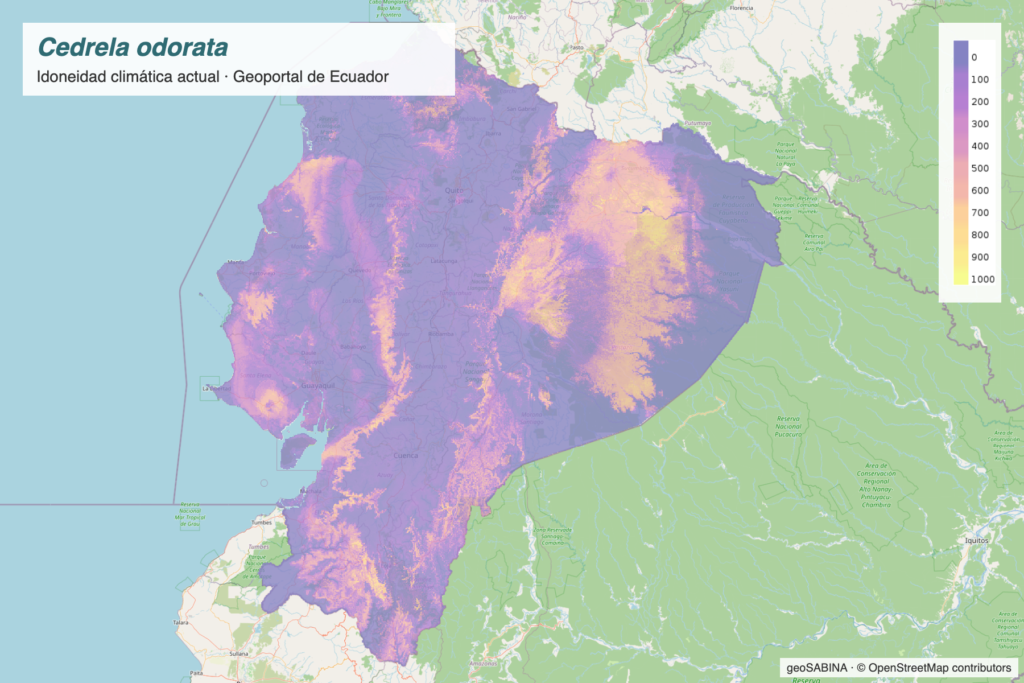 Screenshot of the geoSABINA Ecuador Geoportal showing the current climatic suitability map of Cedrela odorata